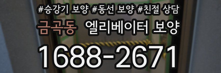 금곡동 엘리베이터 보양