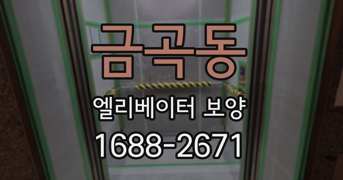 금곡동 엘리베이터 보양