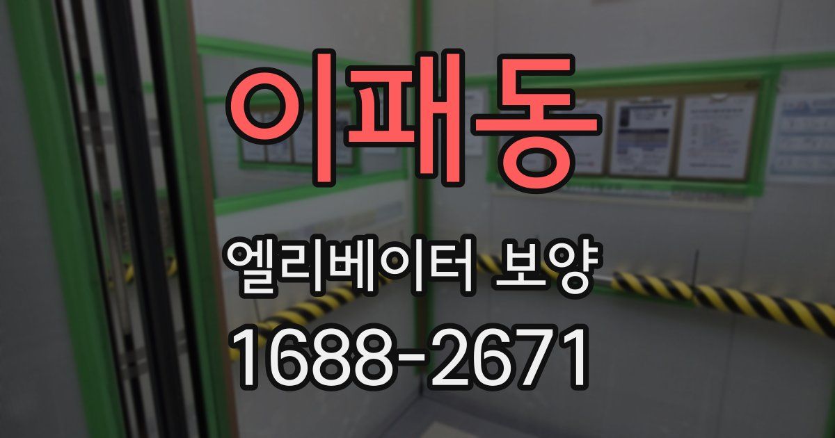이패동 엘리베이터 보양