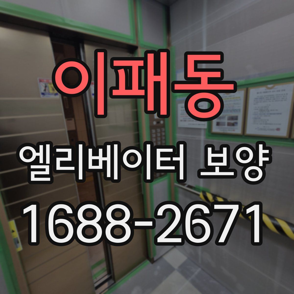 이패동 엘리베이터 보양