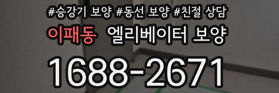 이패동 엘리베이터 보양