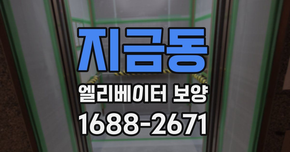 지금동 엘리베이터 보양