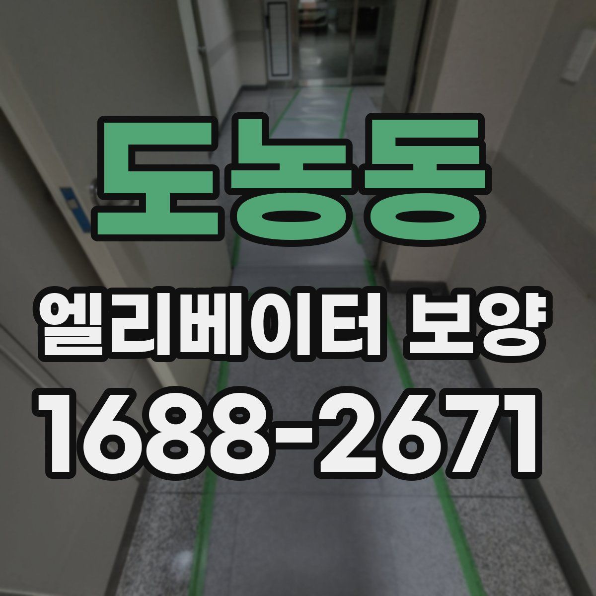 도농동 엘리베이터 보양