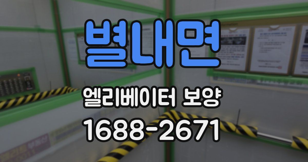 별내면 엘리베이터 보양