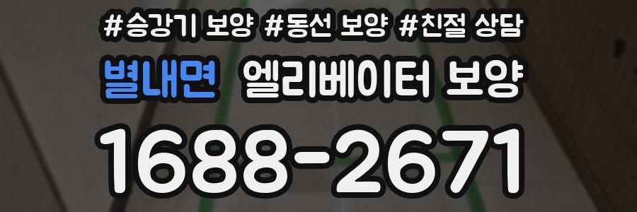 별내면 엘리베이터 보양