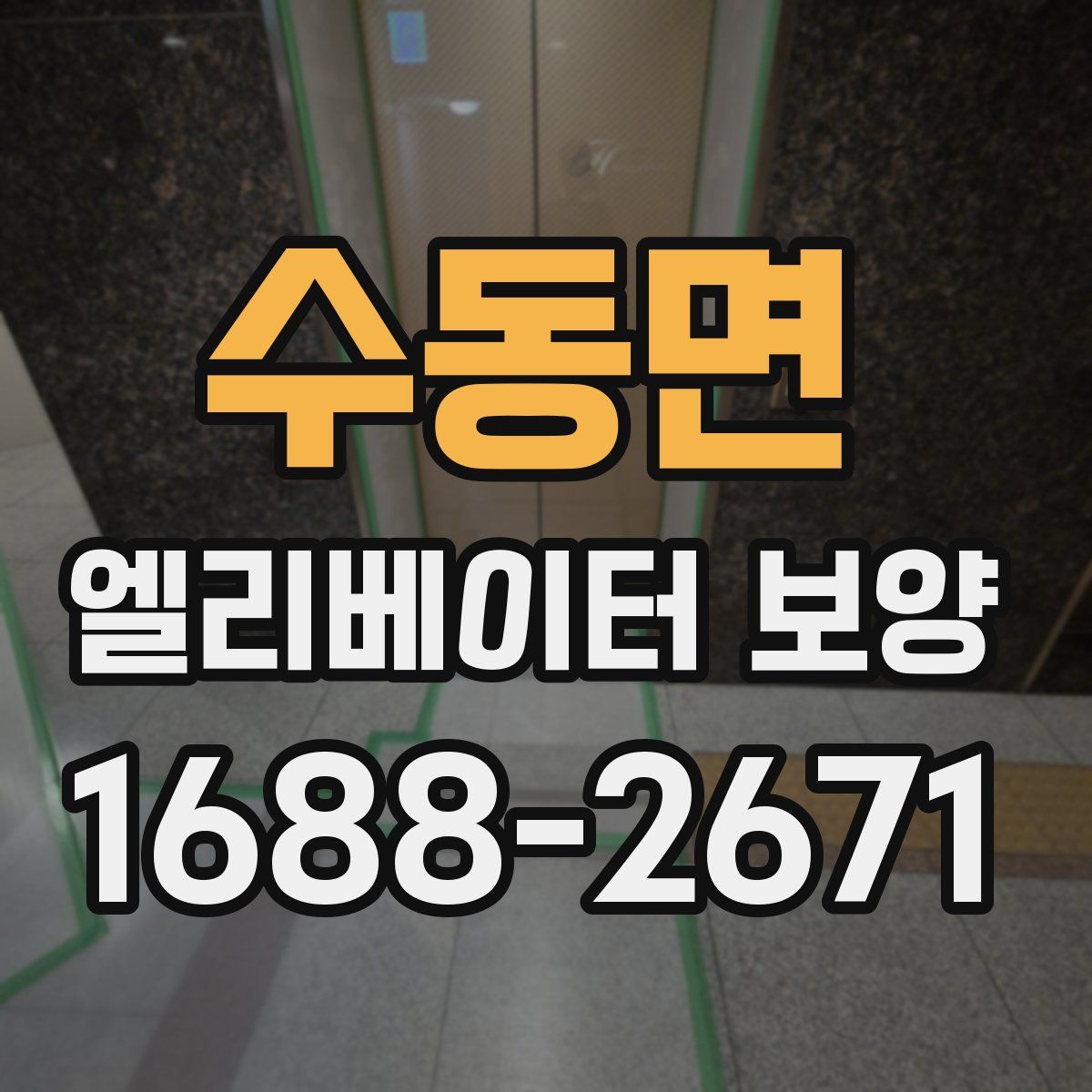 수동면 엘리베이터 보양