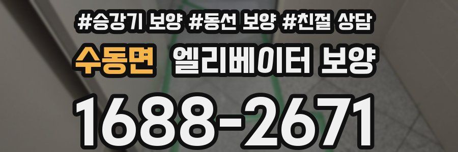 수동면 엘리베이터 보양