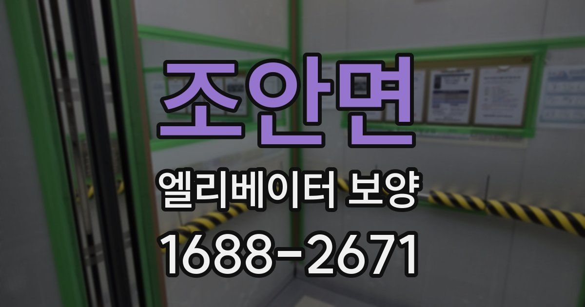 조안면 엘리베이터 보양