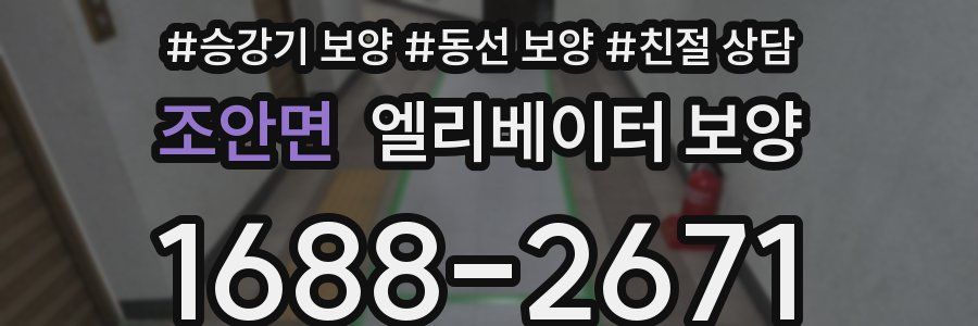 조안면 엘리베이터 보양