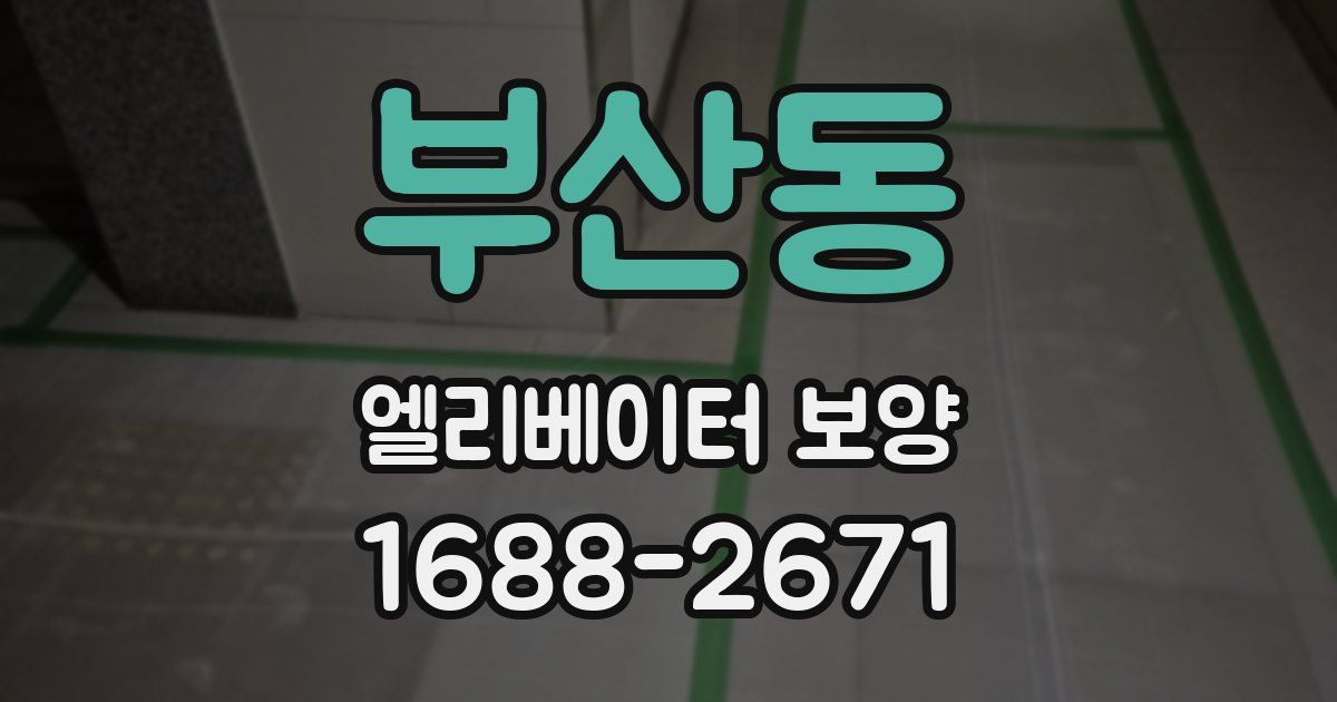 부산동 엘리베이터 보양
