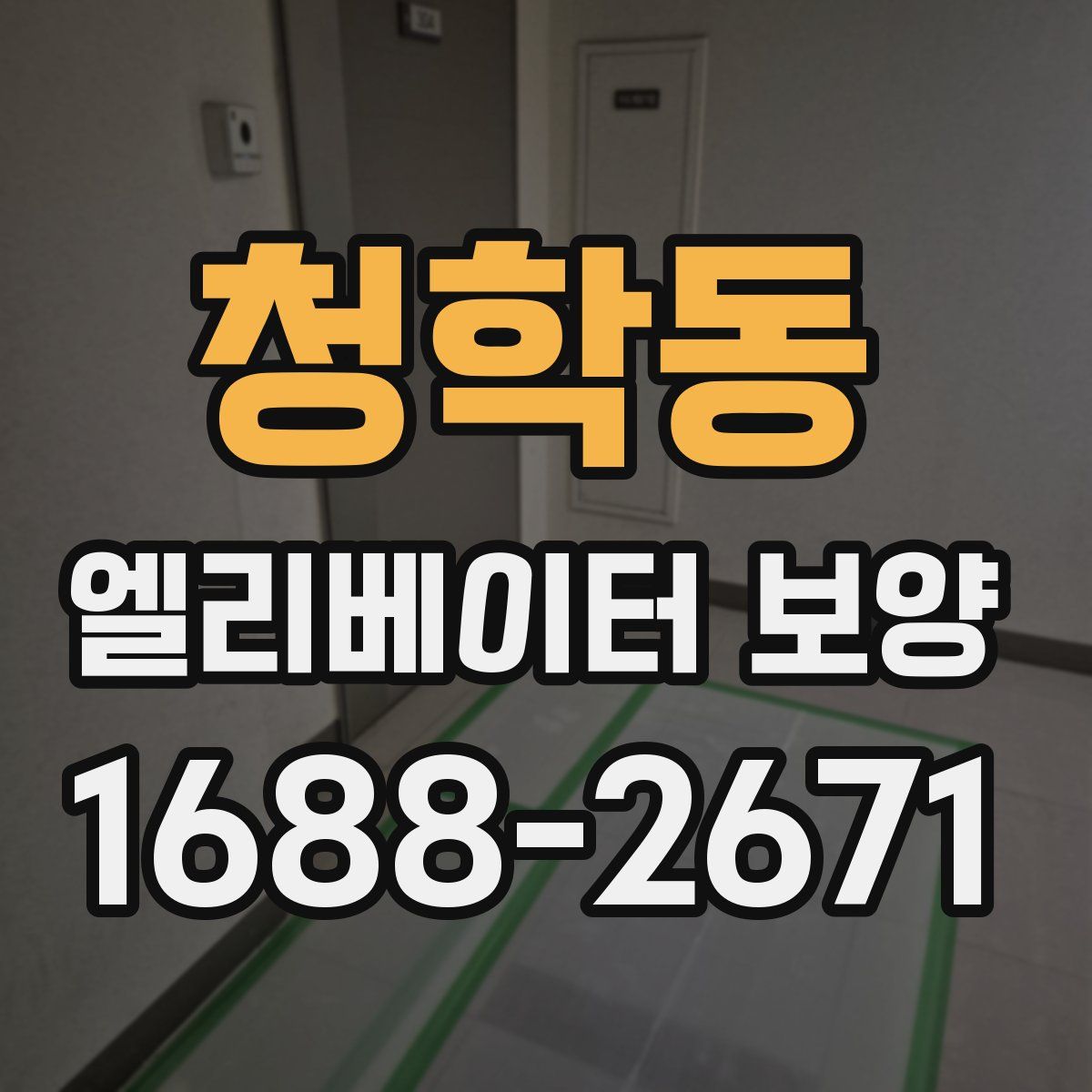 청학동 엘리베이터 보양