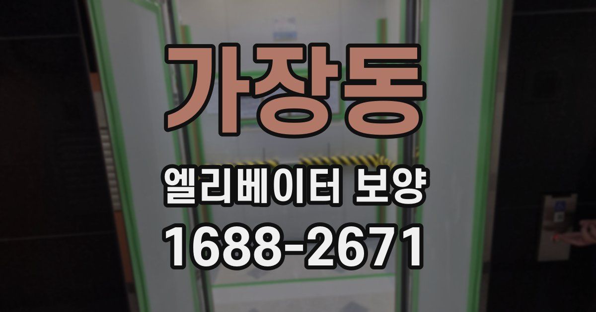 가장동 엘리베이터 보양