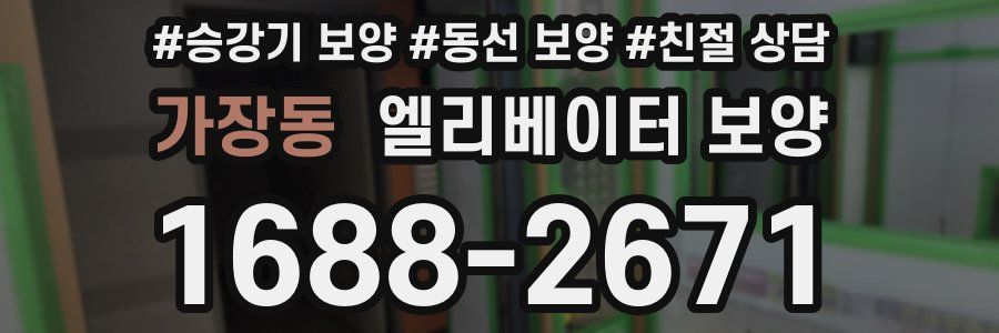 가장동 엘리베이터 보양