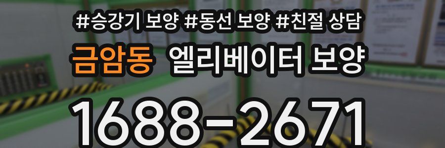 금암동 엘리베이터 보양