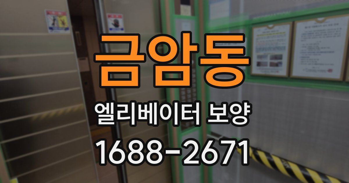 금암동 엘리베이터 보양