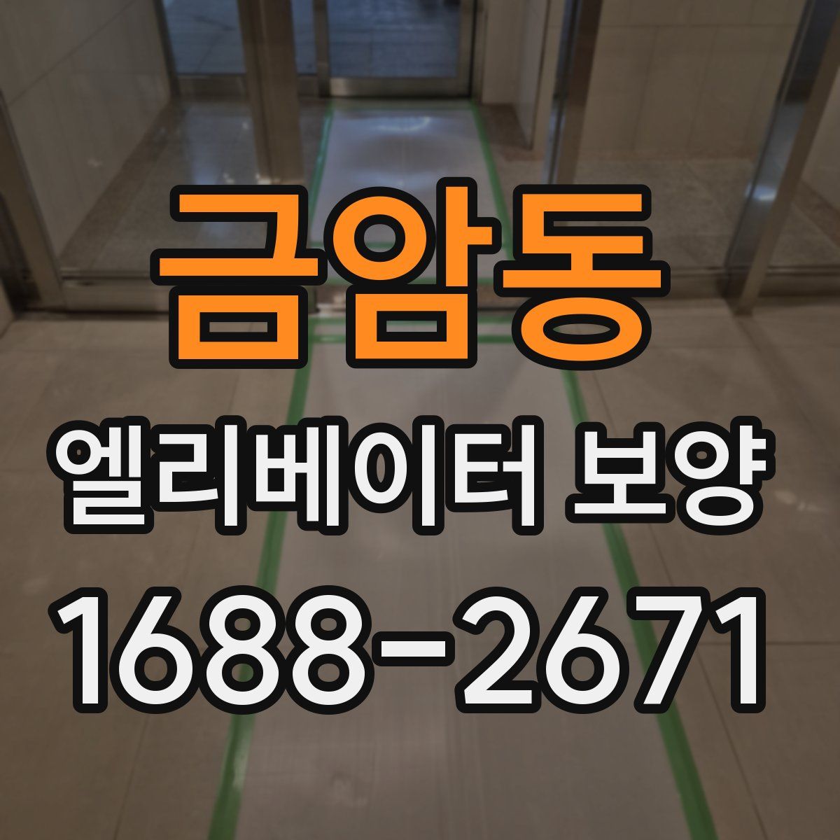 금암동 엘리베이터 보양