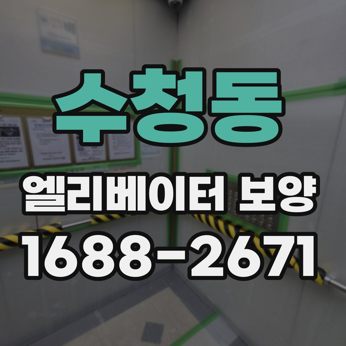 수청동 엘리베이터 보양