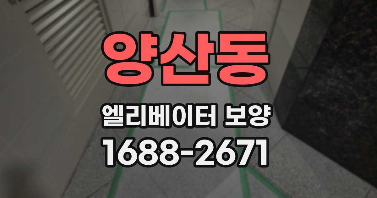 양산동 엘리베이터 보양