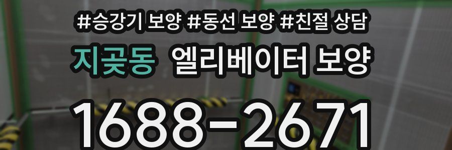 지곶동 엘리베이터 보양