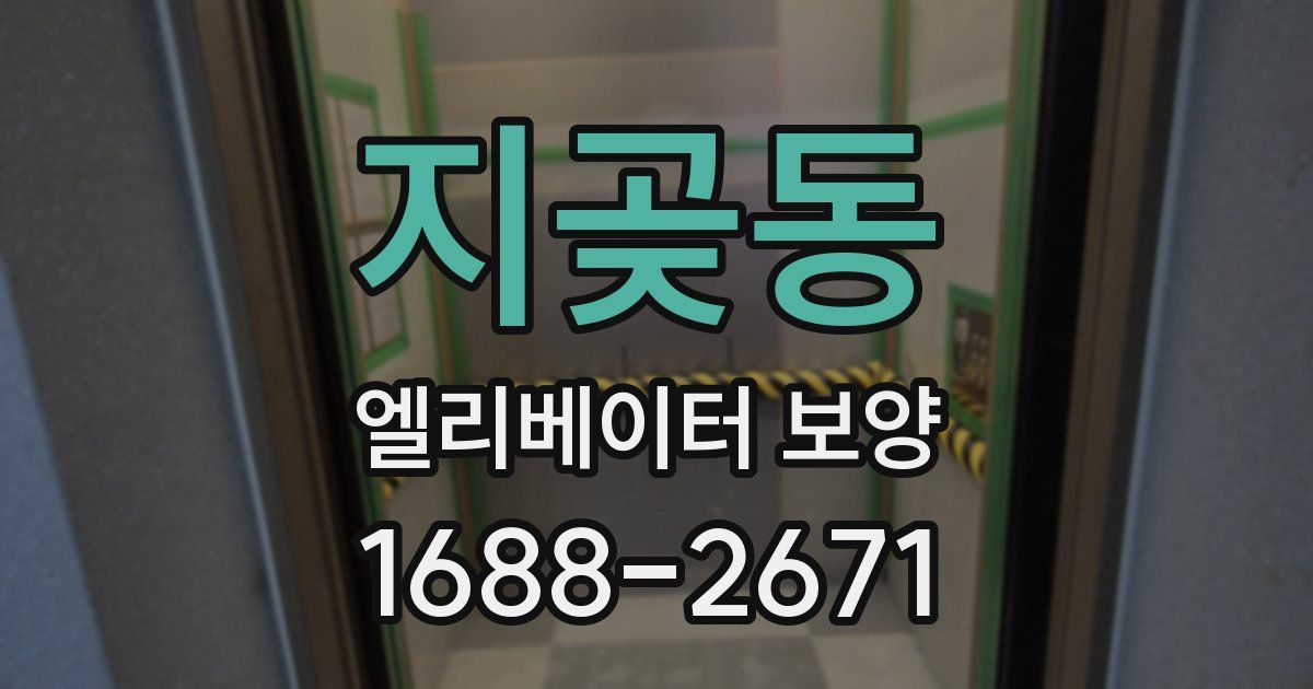 지곶동 엘리베이터 보양