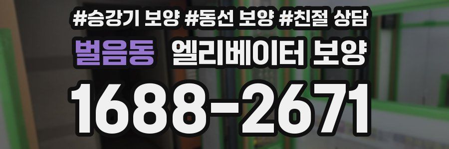 벌음동 엘리베이터 보양