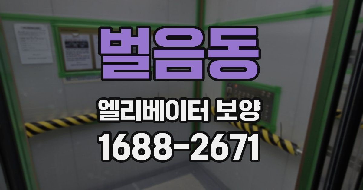 벌음동 엘리베이터 보양