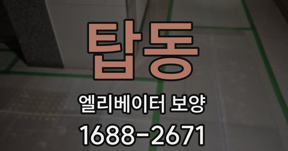 탑동 엘리베이터 보양