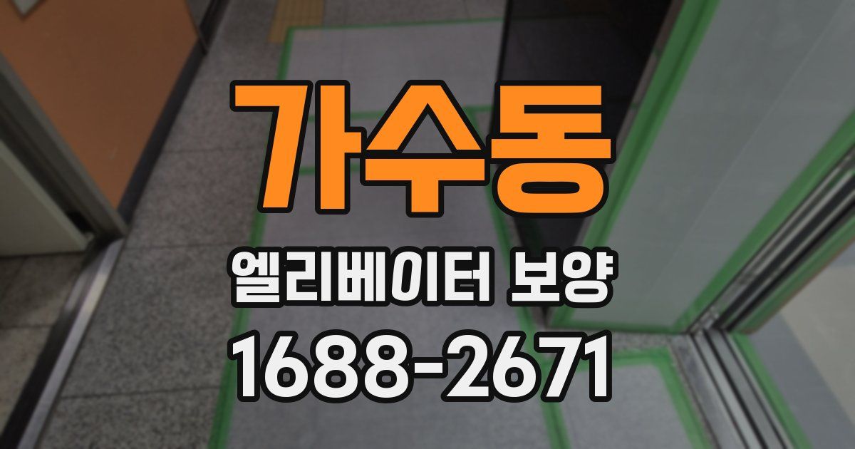 가수동 엘리베이터 보양