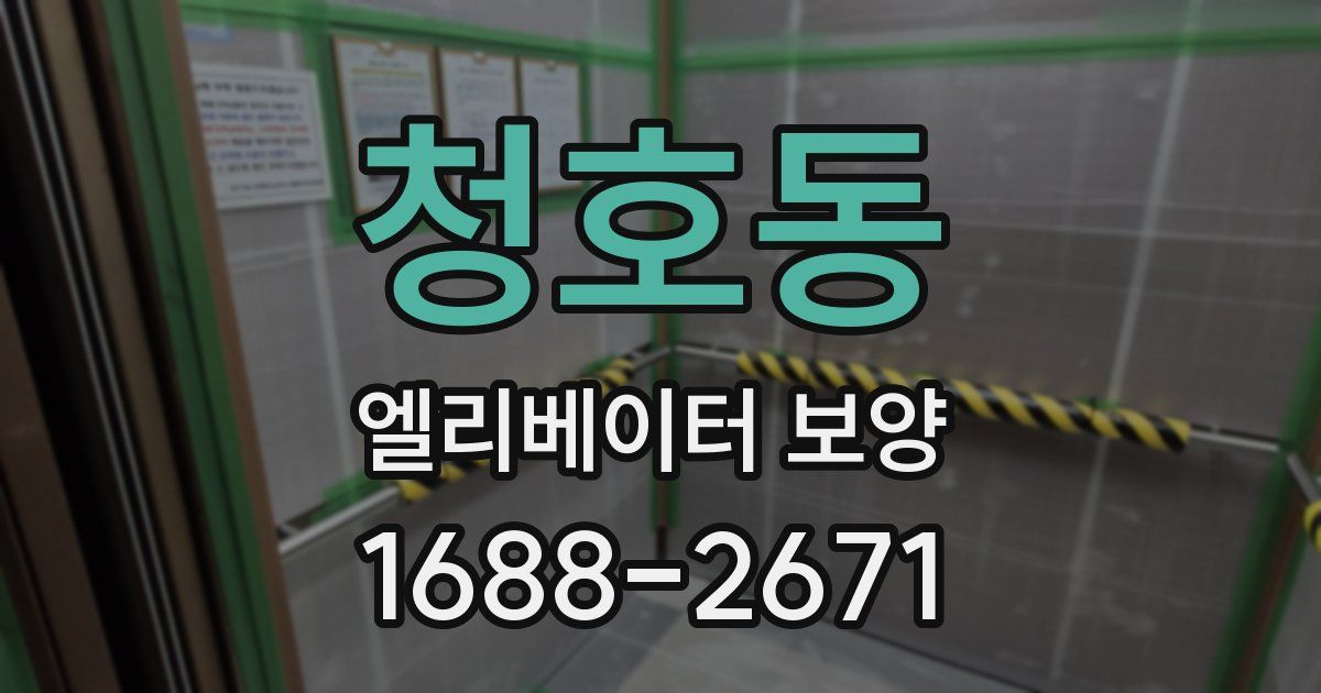 청호동 엘리베이터 보양