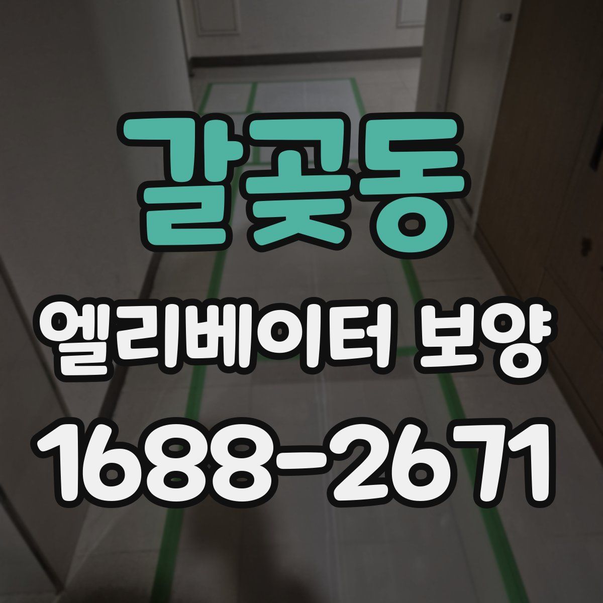 갈곶동 엘리베이터 보양