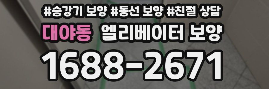 대야동 엘리베이터 보양