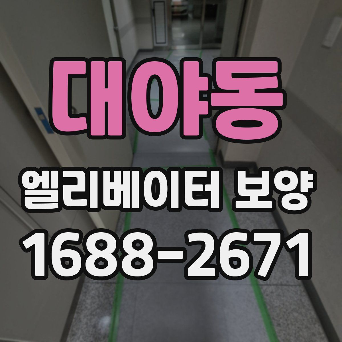 대야동 엘리베이터 보양
