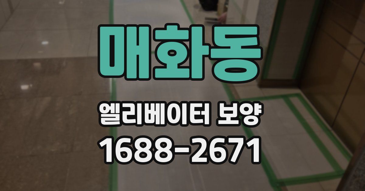 매화동 엘리베이터 보양