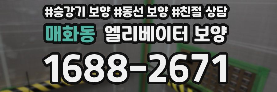 매화동 엘리베이터 보양