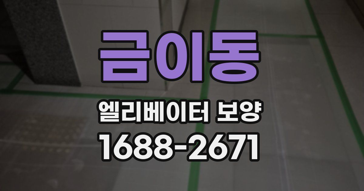 금이동 엘리베이터 보양