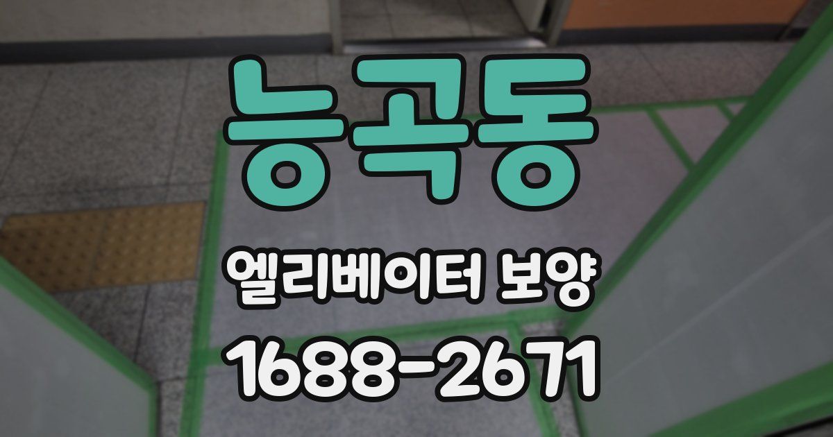 능곡동 엘리베이터 보양