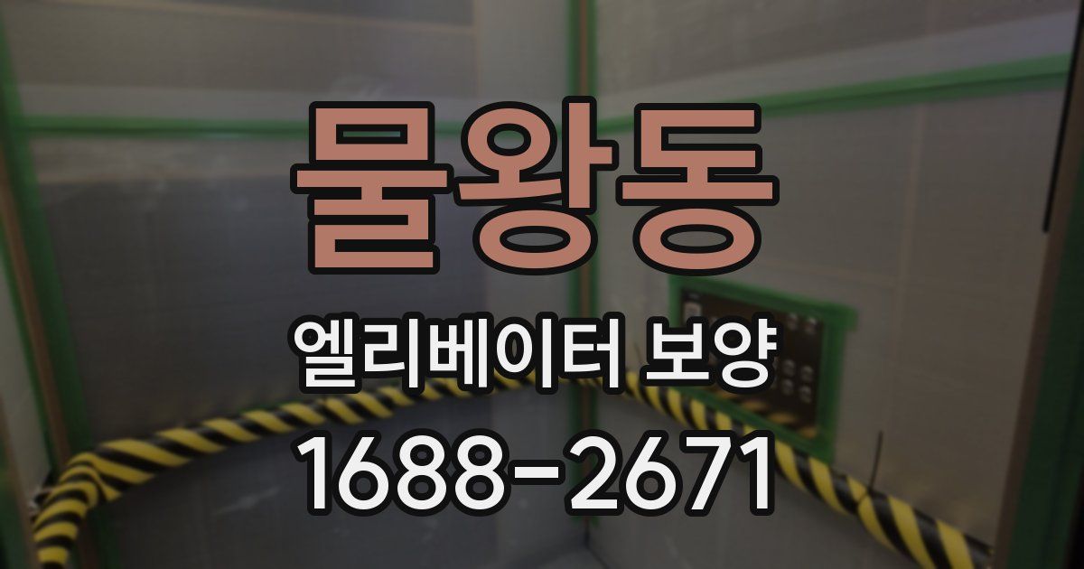 물왕동 엘리베이터 보양