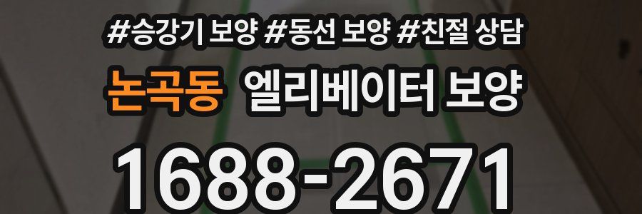 논곡동 엘리베이터 보양