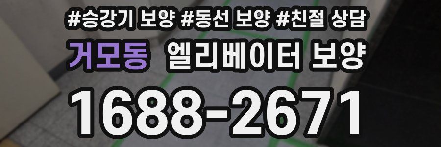 거모동 엘리베이터 보양