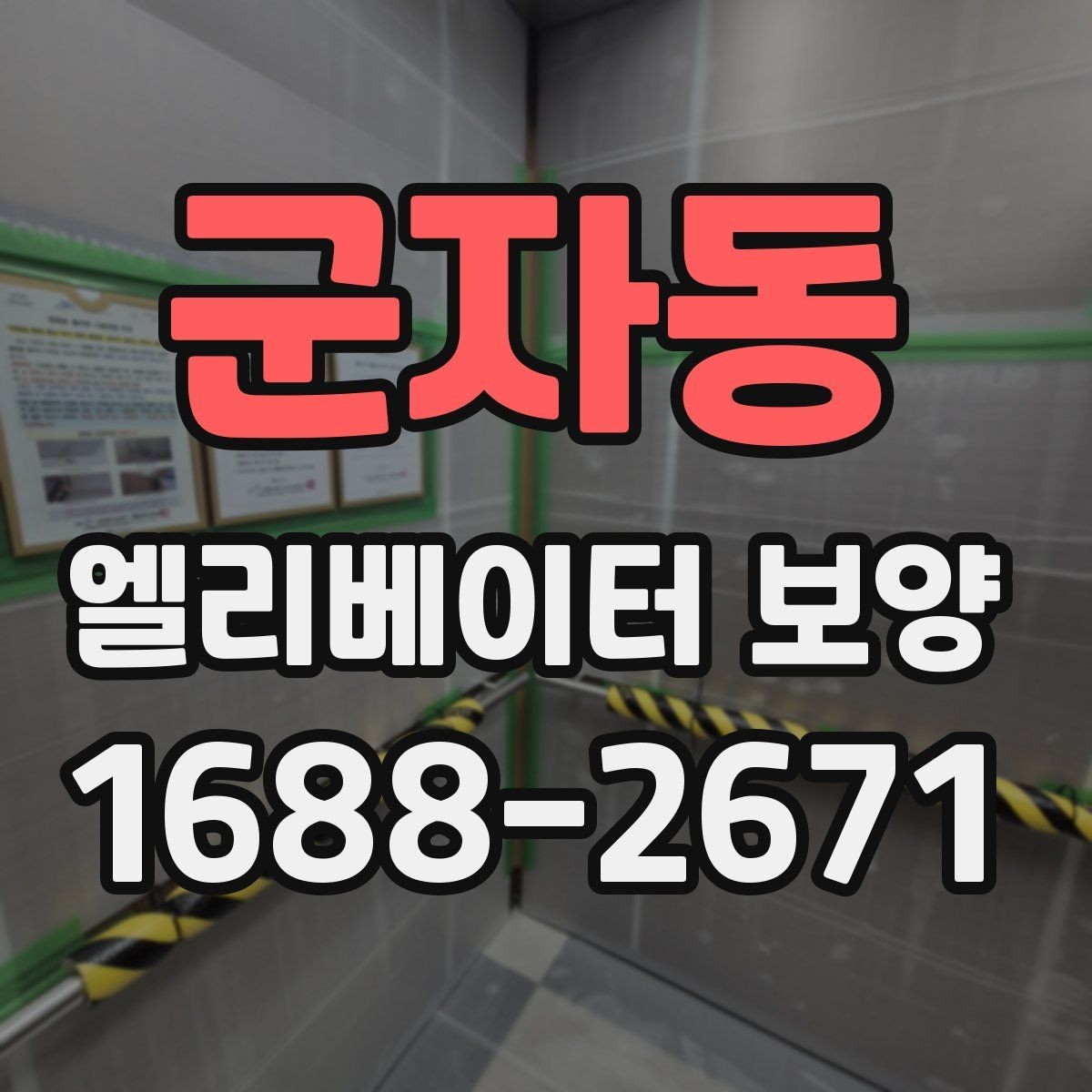 군자동 엘리베이터 보양 비용과 작업 범위의 관계