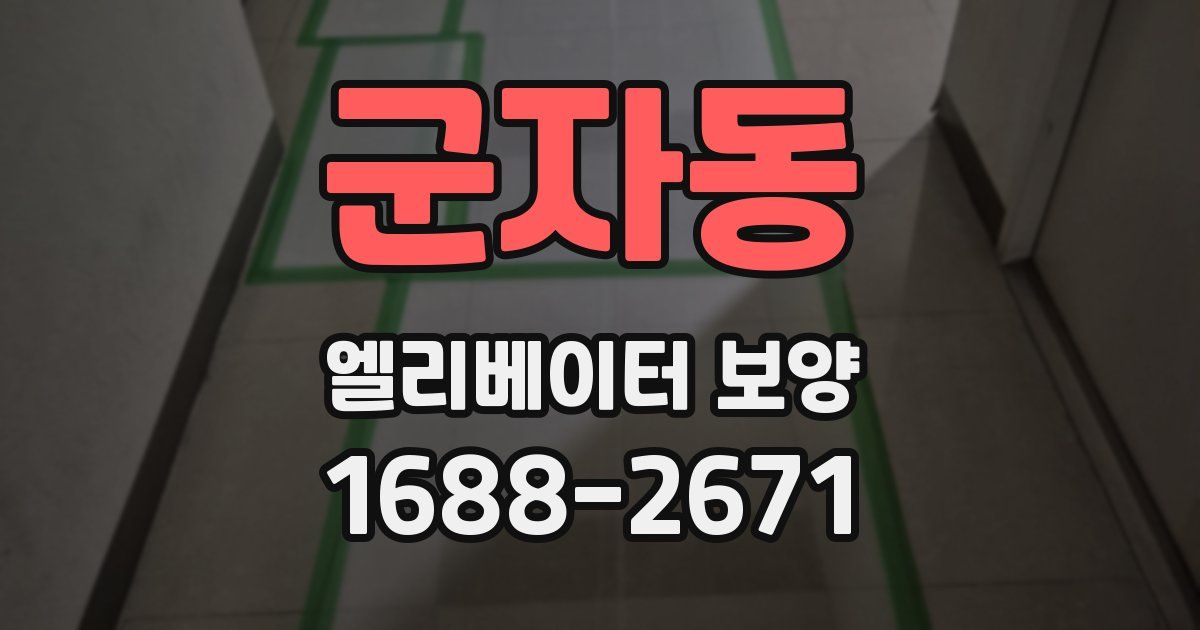 군자동 엘리베이터 보양