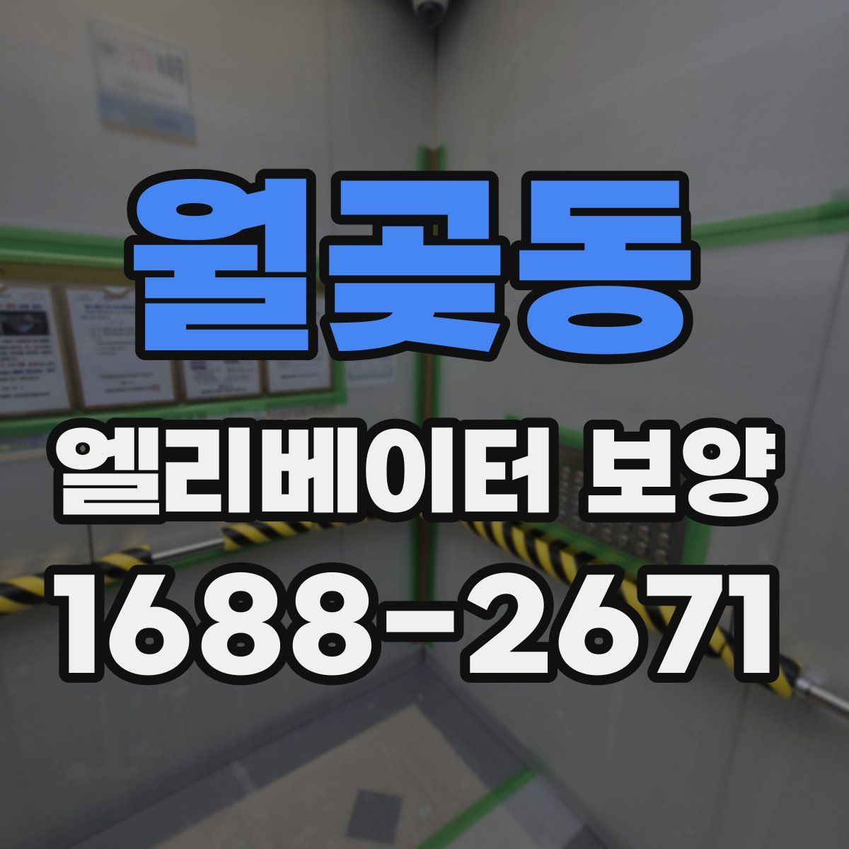 월곶동 엘리베이터 보양