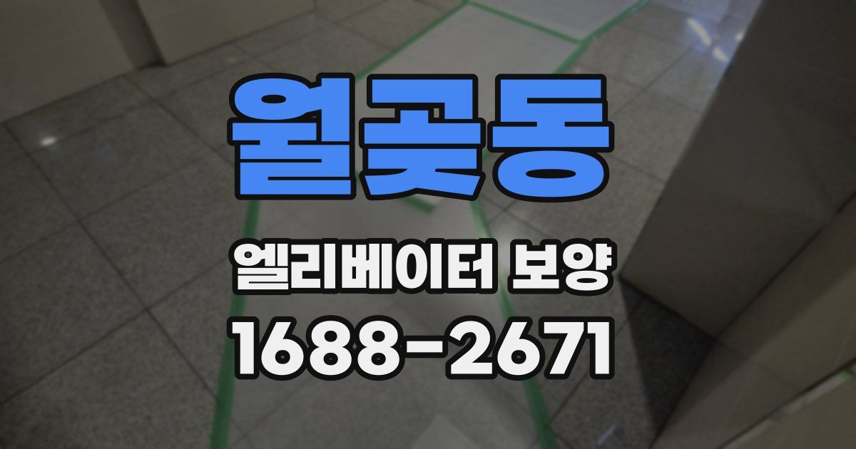 월곶동 엘리베이터 보양