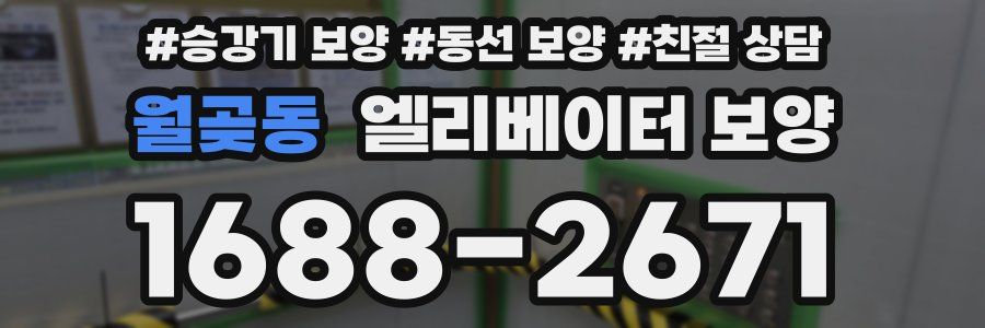 월곶동 엘리베이터 보양
