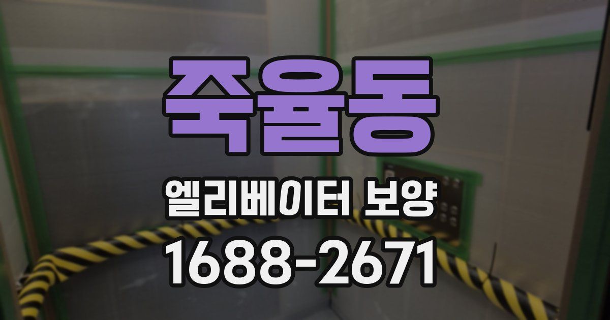 죽율동 엘리베이터 보양