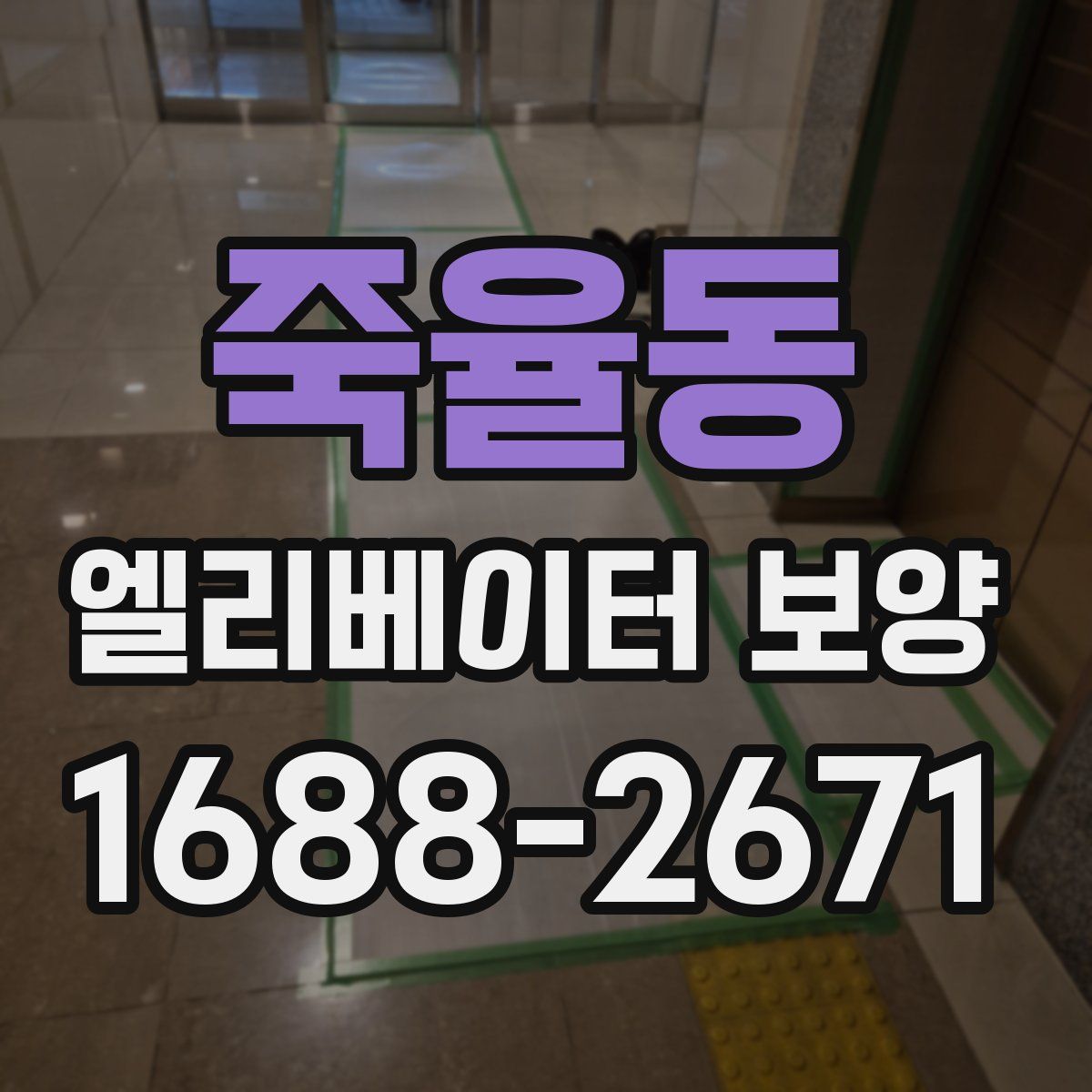 죽율동 엘리베이터 보양