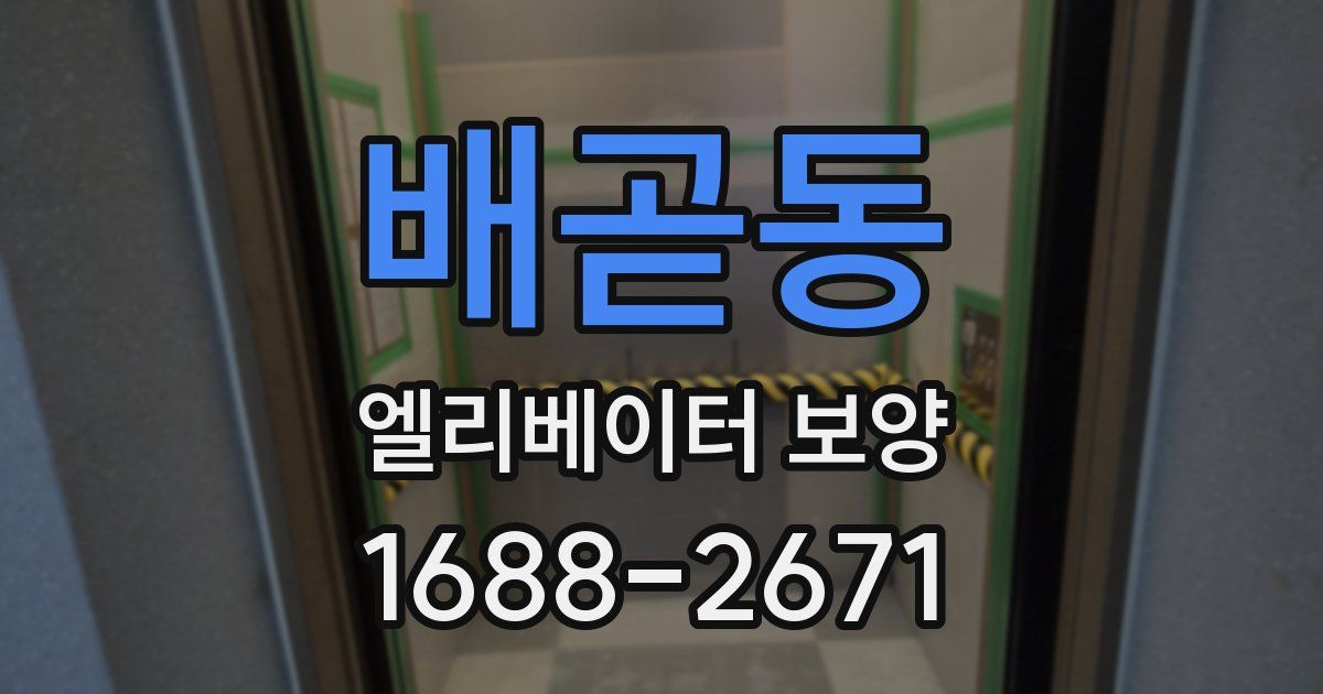 배곧동 엘리베이터 보양