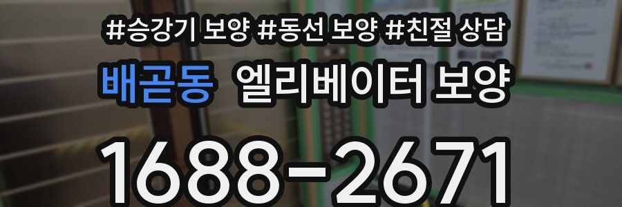 배곧동 엘리베이터 보양