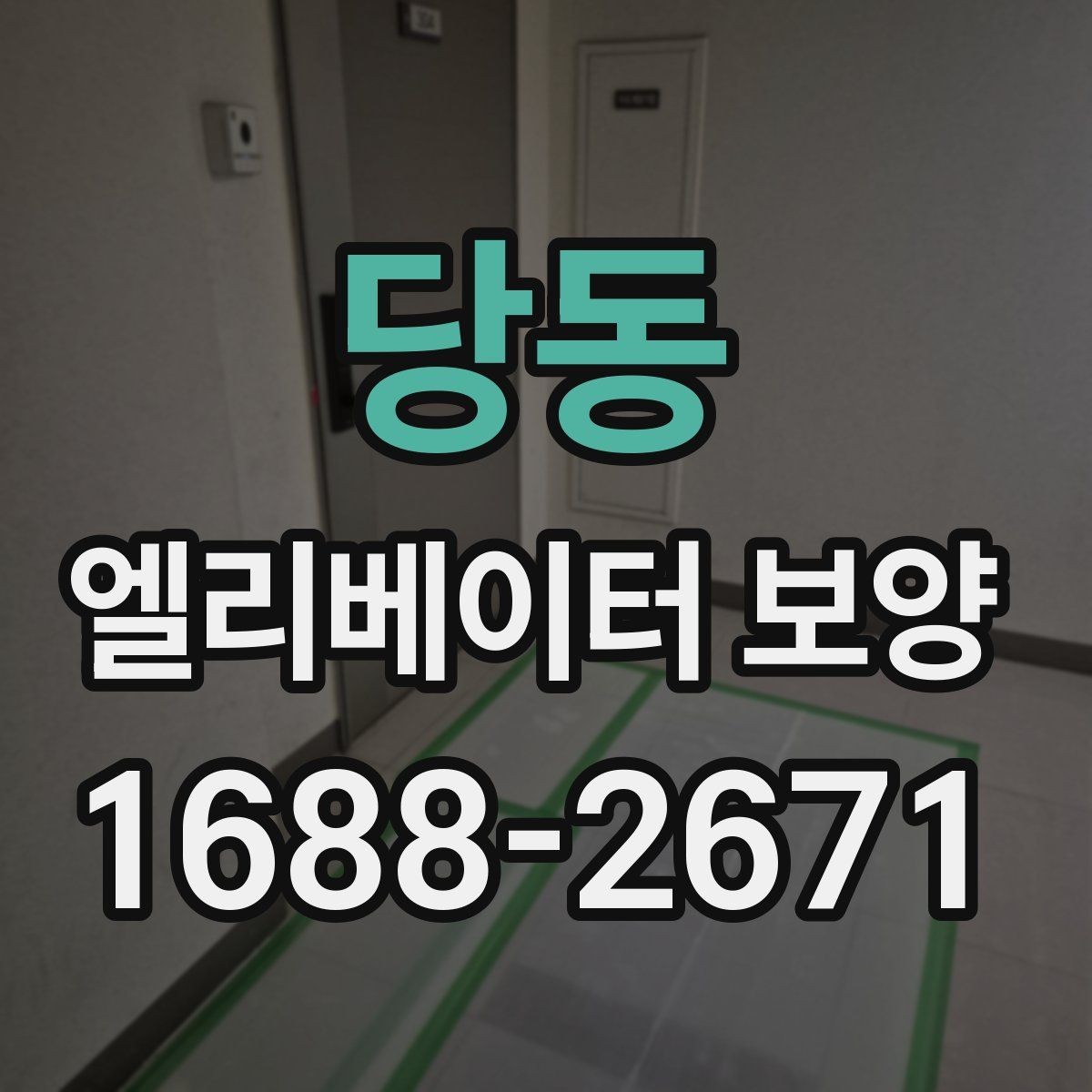 당동 엘리베이터 보양 마감선이 깔끔해지는 시공 팁