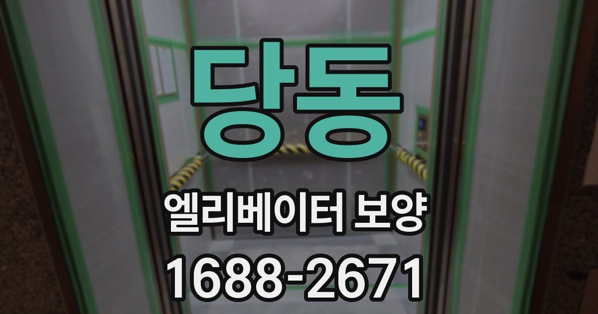 당동 엘리베이터 보양
